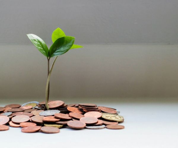 How Much Does Eye Movement Desensitization and Reprocessing (EMDR) Therapy Cost